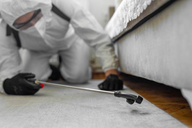 Professional Bed Bug Control technician working in Forrest City, AR